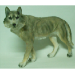 Волк на лапах 41х56