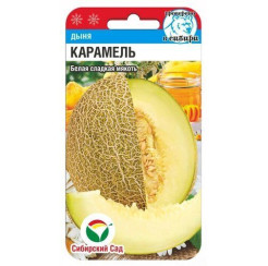 Дыня Карамель 7шт (Сиб Сад) годен до 31.12.2025г