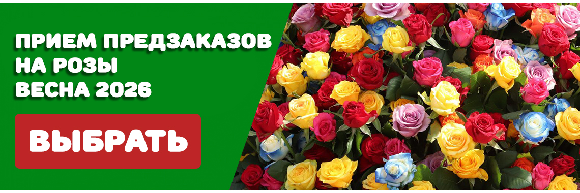 слайд3