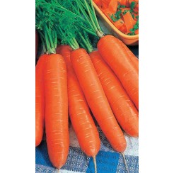 Морковь Хрустящее Счастье 1,5гр (Уральский дачник)