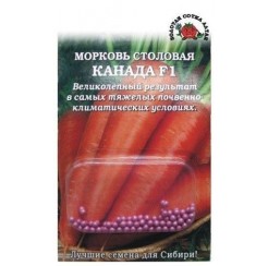 Морковь Канада гранул 100шт (ЗС)
