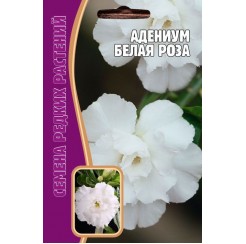 Адениум Белая роза 3шт (Ред.сем)