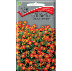 Бархатцы Красный самоцвет 0,1гр (Поиск)