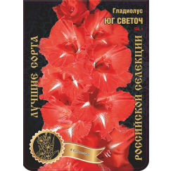 Гладиолус Юг 1 луковица, 1 разбор (в уп 7шт) (Сиб Сад)