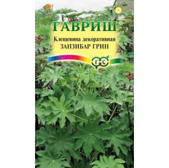 Клещевина Занзибар Грин 5шт (Гавриш)