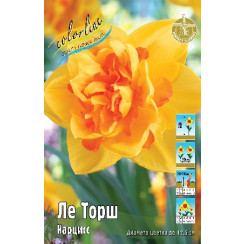 Нарцисс Ле Торш 12/14 разбор 1шт (в уп 5шт) (Колорлайн)