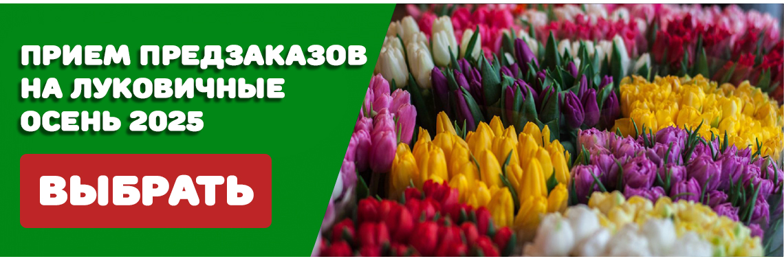 Слайд2