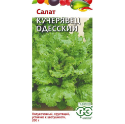 Салат Кучерявец Одесский 0,5гр (Гавриш)